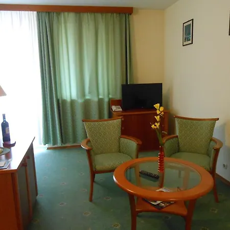 Apartment Pallace Wellness *