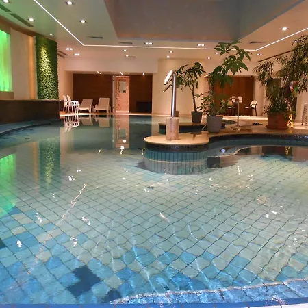 Pallace Wellness *